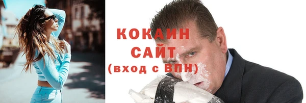 дмт Богородицк