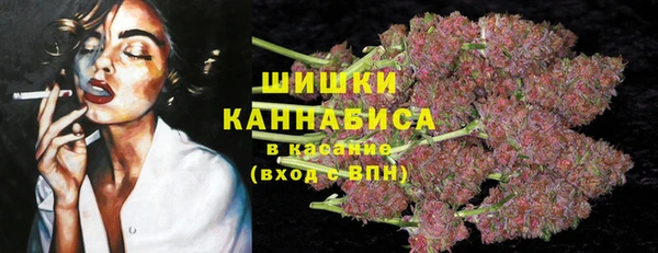 дмт Богородицк
