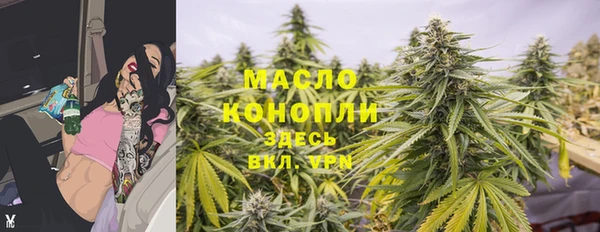 дмт Богородицк