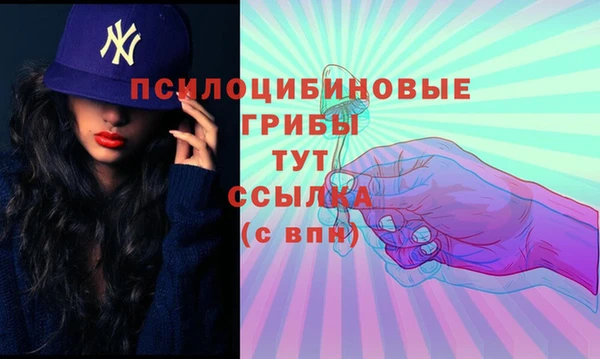 дмт Богородицк