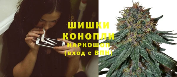 дмт Богородицк